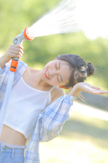 什么花的花语是神明、神圣